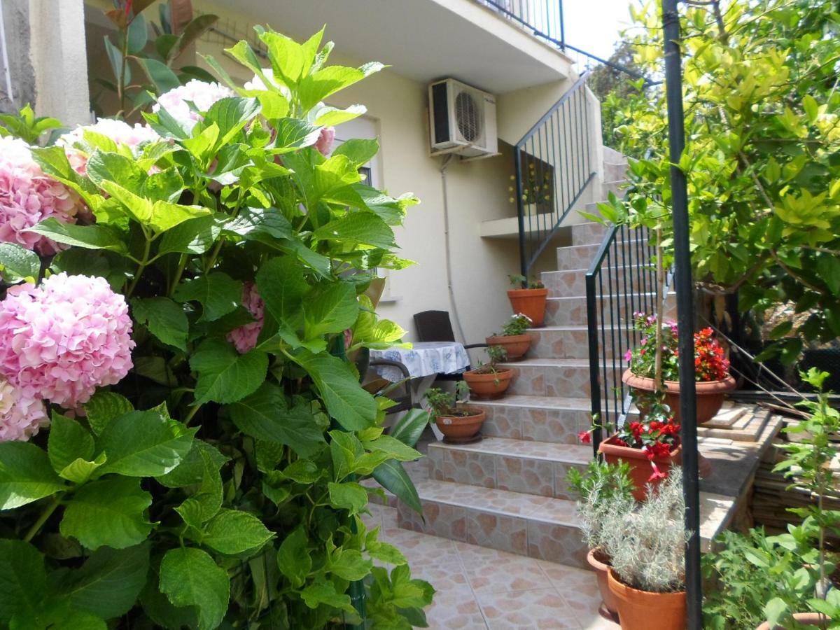 Marin Tomas Appartement *